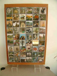 Fotolijst 324 2004